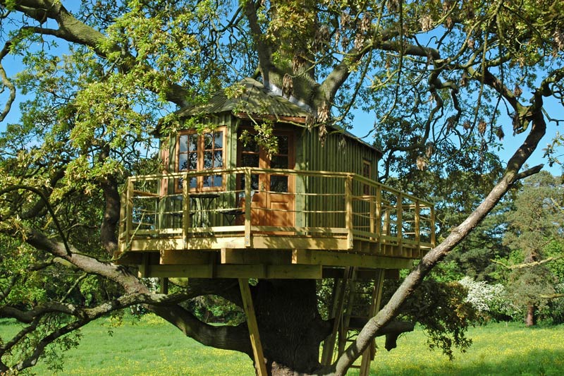 Bespoke off grid adult treehouse design in Ireland